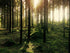 f_article.image.alt