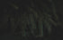 f_article.image.alt