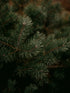f_article.image.alt