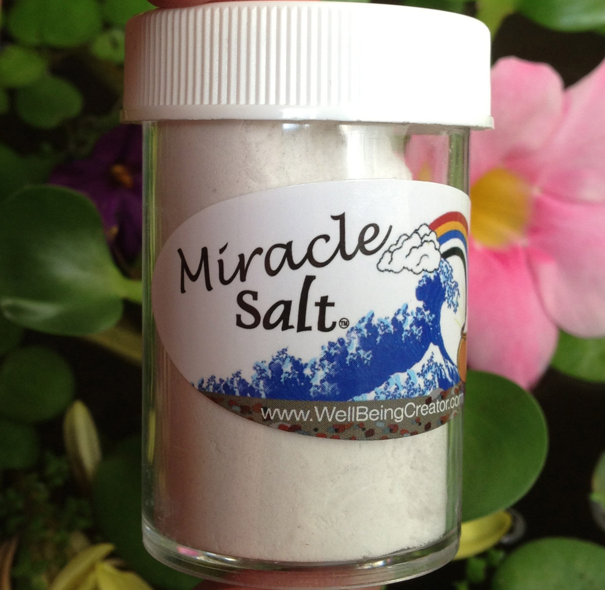Miracle Salt by Live Pine : The Ultimate Toxin-Free Sea Salt for ...